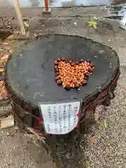 大宮・大原神社(千葉県)