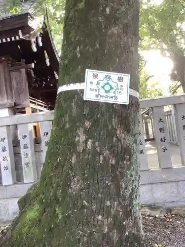 神明社（神明大明神）の自然