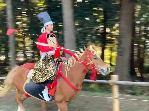出雲伊波比神社(埼玉県)