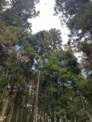 大宮温泉神社の自然
