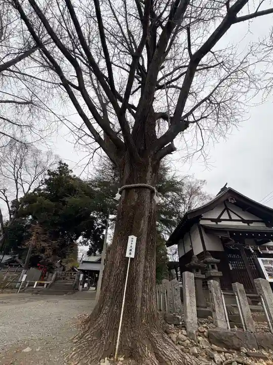 桐生天満宮(群馬県)