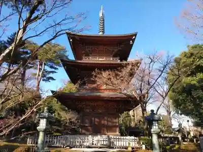 豪徳寺(東京都)