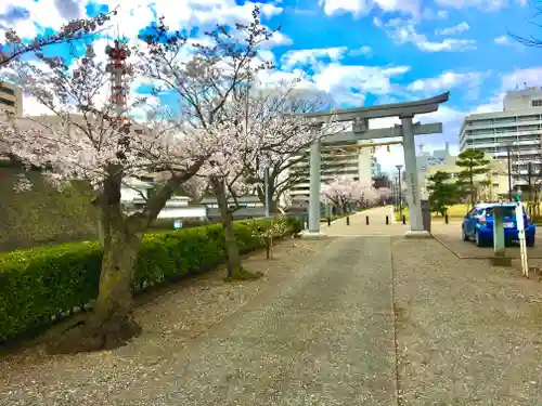 福井神社の鳥居