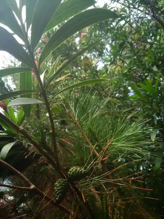 白髭社(愛知県)