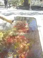 旗上弁財天社の手水舎