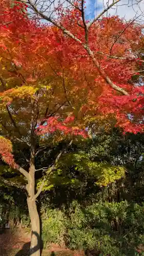 平等院(京都府)