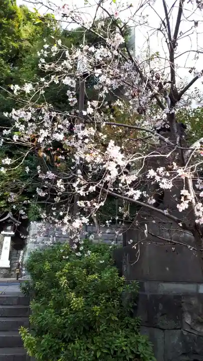 日枝神社の自然