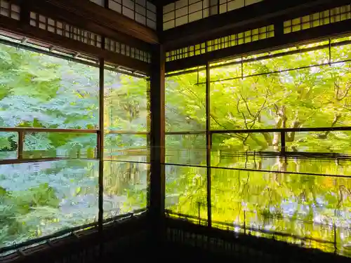 光明寺瑠璃光院の庭園