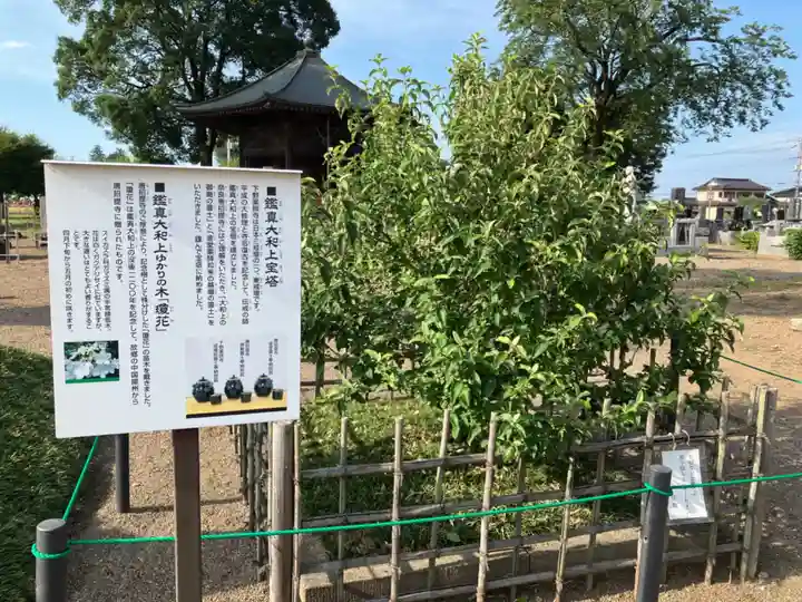 羽衣町厳島神社(関内厳島神社・横浜弁天)(神奈川県)
