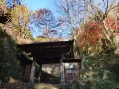 行道山 浄因寺(栃木県)