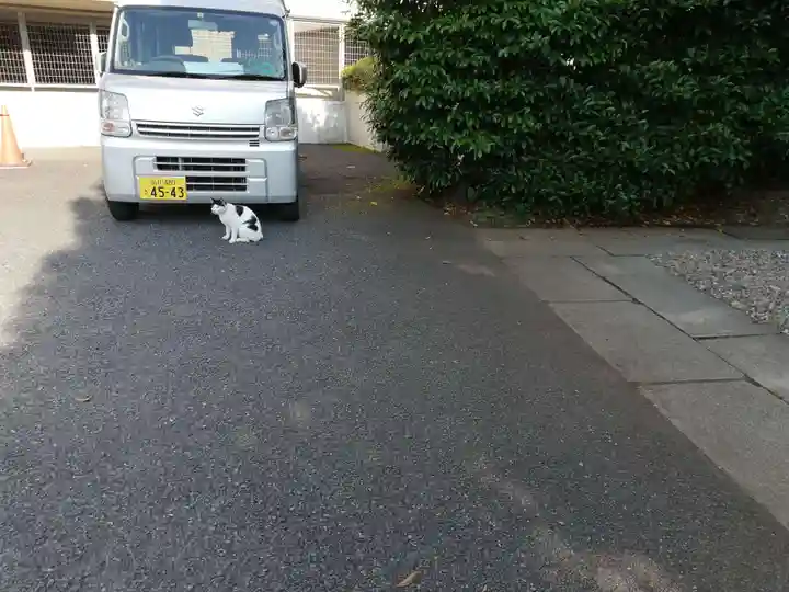 白金氷川神社の動物