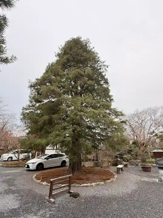 玉泉寺の{uncategorized: "未分類", other: "その他", undefined: "問題あり", building: "その他建物", grave: "お墓", sacred_gate: "鳥居", guardian: "狛犬", statue: "像", buddha: "仏像", history: "歴史", nature: "自然", garden: "庭園", animal: "動物", pagoda: "塔", temizu: "手水舎", mountain_gate: "山門・神門", sanctuary: "本殿・本堂", subordinate: "末社・摂社", art: "芸術", scenery: "景色", jizo: "地蔵", ema: "絵馬", goshuin: "御朱印", omikuji: "おみくじ", items: "授与品その他", amulet: "お守り", goshuincho: "御朱印帳", eats: "食事", festival: "お祭り", votive_dance: "神楽", shichigosan: "七五三参", wedding: "結婚式", experience: "体験その他", initially: "初詣", around: "周辺", anti_infection: "感染症対策"}