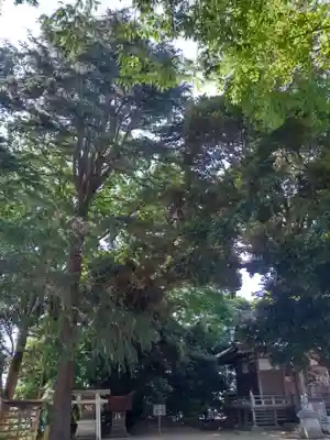 初富稲荷神社のその他建物