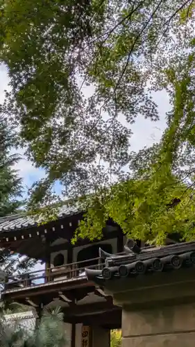 龍翔寺（萬歳龍翔禅寺）(京都府)