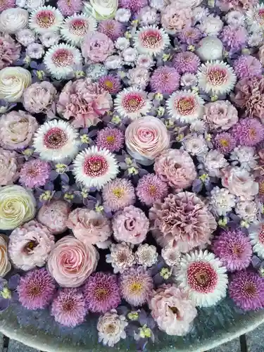 行田八幡神社の手水舎