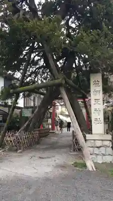 荏柄天神社のその他建物