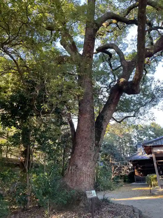 蔵王堂光福寺(京都府)