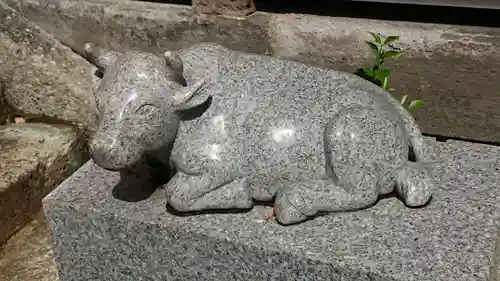 赤羽八幡神社の狛犬