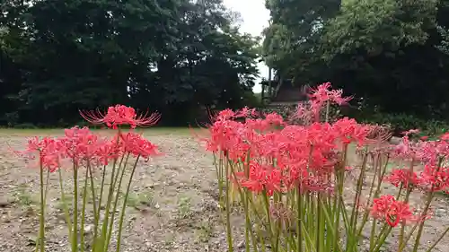稲荷神社の自然