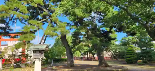 竹駒神社の周辺