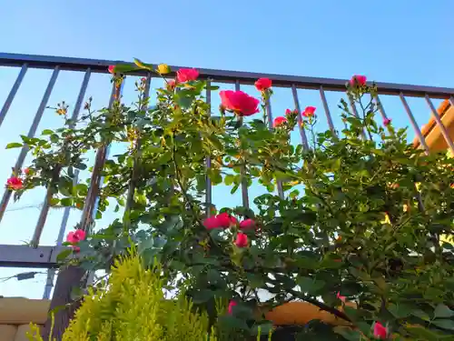 寿量山　速成寺の自然