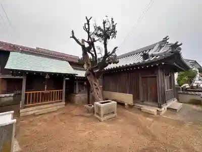 事代主神社(兵庫県)