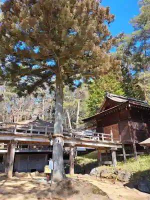 身曾岐神社(山梨県)