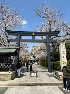 松陰神社(東京都)