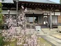 日蓮宗 本松寺の本殿・本堂