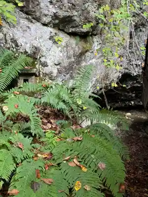 戸隠神社奥社(長野県)