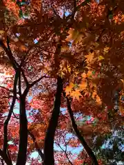 滑川神社 - 仕事と子どもの守り神(福島県)