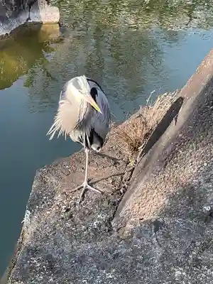亀戸天神社(東京都)