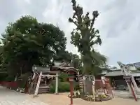 川越八幡宮の{uncategorized: "未分類", other: "その他", undefined: "問題あり", building: "その他建物", grave: "お墓", sacred_gate: "鳥居", guardian: "狛犬", statue: "像", buddha: "仏像", history: "歴史", nature: "自然", garden: "庭園", animal: "動物", pagoda: "塔", temizu: "手水舎", mountain_gate: "山門・神門", sanctuary: "本殿・本堂", subordinate: "末社・摂社", art: "芸術", scenery: "景色", jizo: "地蔵", ema: "絵馬", goshuin: "御朱印", omikuji: "おみくじ", items: "授与品その他", amulet: "お守り", goshuincho: "御朱印帳", eats: "食事", festival: "お祭り", votive_dance: "神楽", shichigosan: "七五三参", wedding: "結婚式", experience: "体験その他", initially: "初詣", around: "周辺", anti_infection: "感染症対策"}