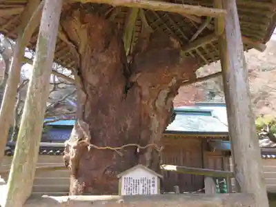 根香寺(香川県)