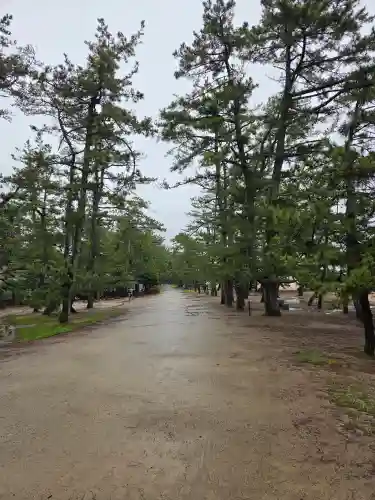 智恩寺(京都府)