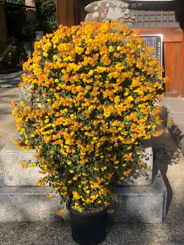 水堂須佐男神社の自然