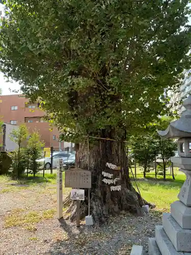 金山神社(愛知県)