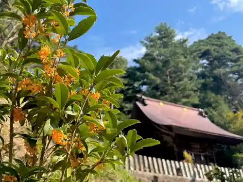 蚊里田八幡宮(長野県)