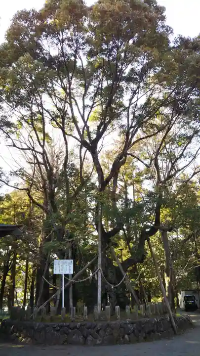 廣瀬神社の自然