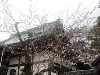 光明寺のその他建物