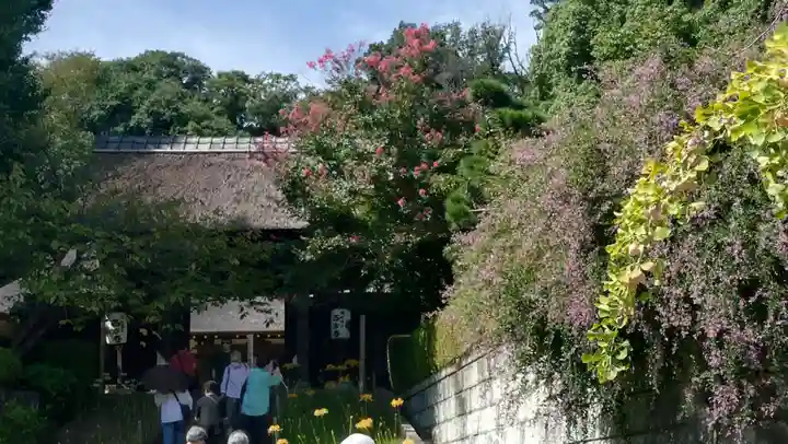 横浜 西方寺(神奈川県)