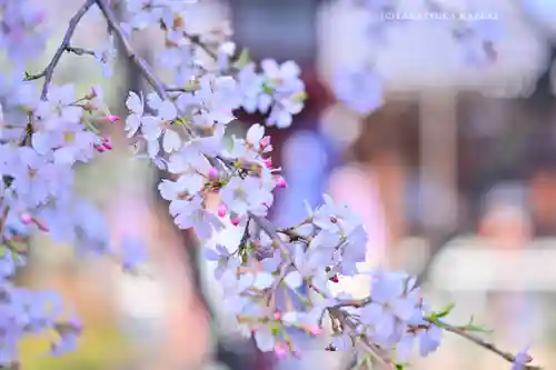 寛永寺開山堂(東京都)