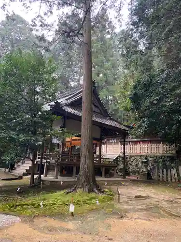 葛木御歳神社(奈良県)