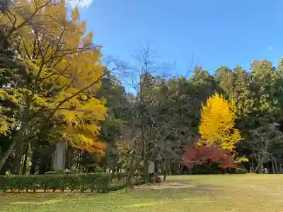 大斎原（熊野本宮大社旧社地）(和歌山県)