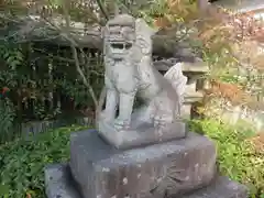 晴明神社の狛犬