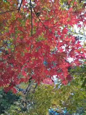 四宮神社の自然