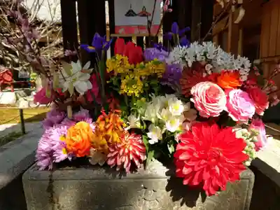 勝林寺(京都府)