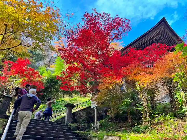 宝珠山 立石寺の山門・神門