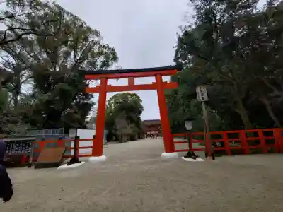 賀茂御祖神社（下鴨神社）(京都府)