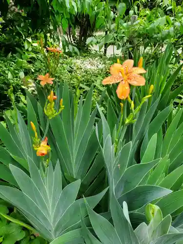 沙沙貴神社の自然